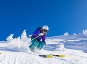 俄克拉荷马城雷霆常规赛横扫金州勇士，东契奇砍下45记关键球，全场沸腾的简单介绍